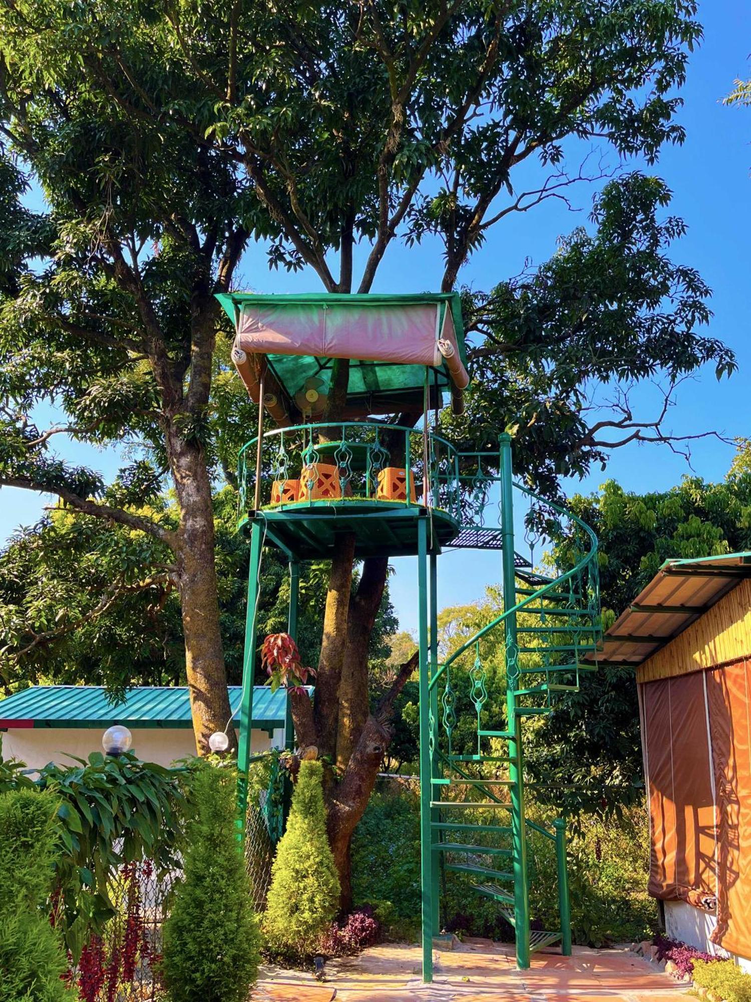 Hotel O Royal Tree Cafe And Resort Dehradun Exterior photo